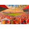 Ayresome Park Stadium Fine Art Print - Middlesbrough FC
